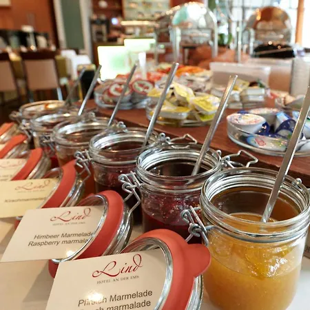 林德酒店 4* 里特贝格